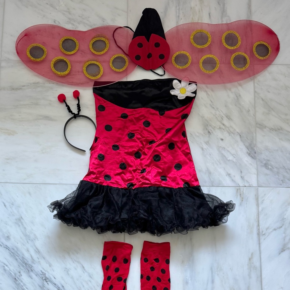 Women’s ladybug costume